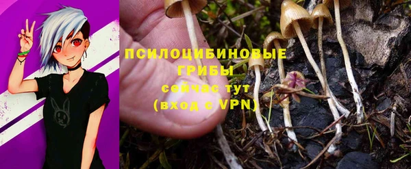 мяу мяу мука Балабаново