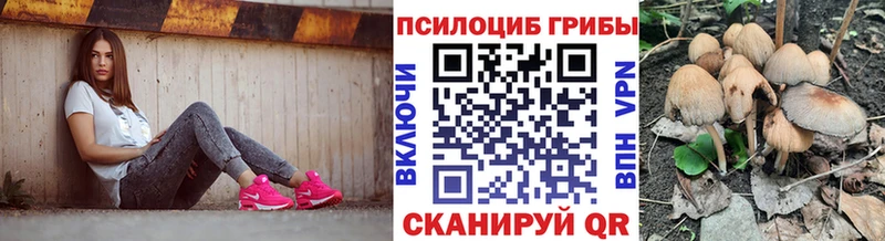 Галлюциногенные грибы Magic Shrooms  Краснокаменск 